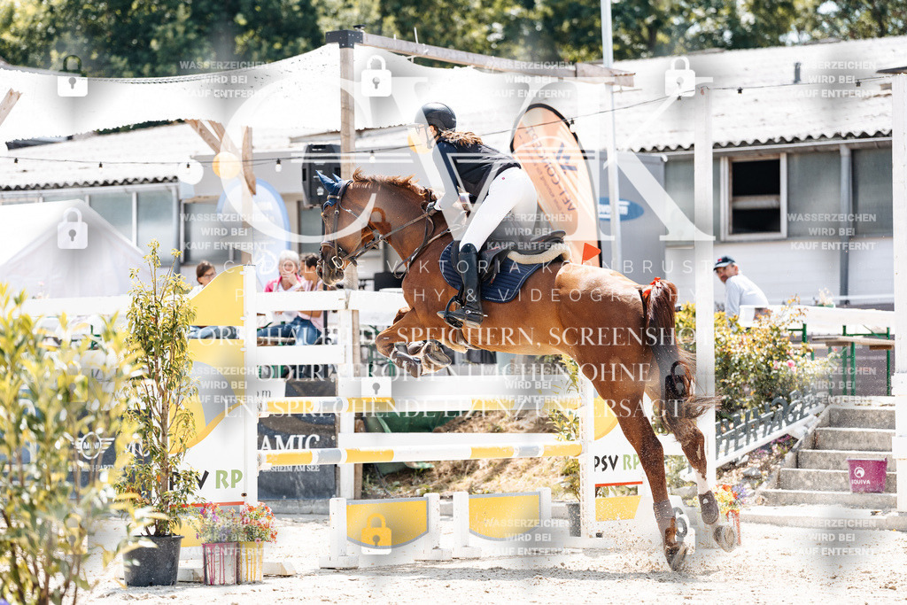 CK907794 | Turnierfotografie Pferdefotografie Trier Rheinland-Pfalz Pferdesport Reitsport Tierfotografie Sportfotografie Pferdevideo Pferdevideografie Equestrianvideography equestrianphotography  - Realisiert mit Pictrs.com