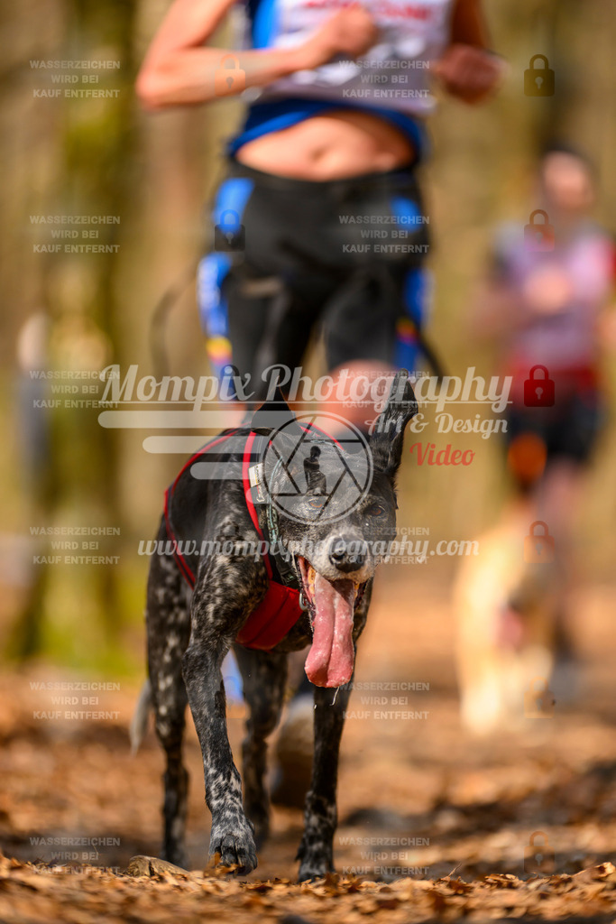 MompixPhotography_Habay2025_SA_CCC-185 | PayLife