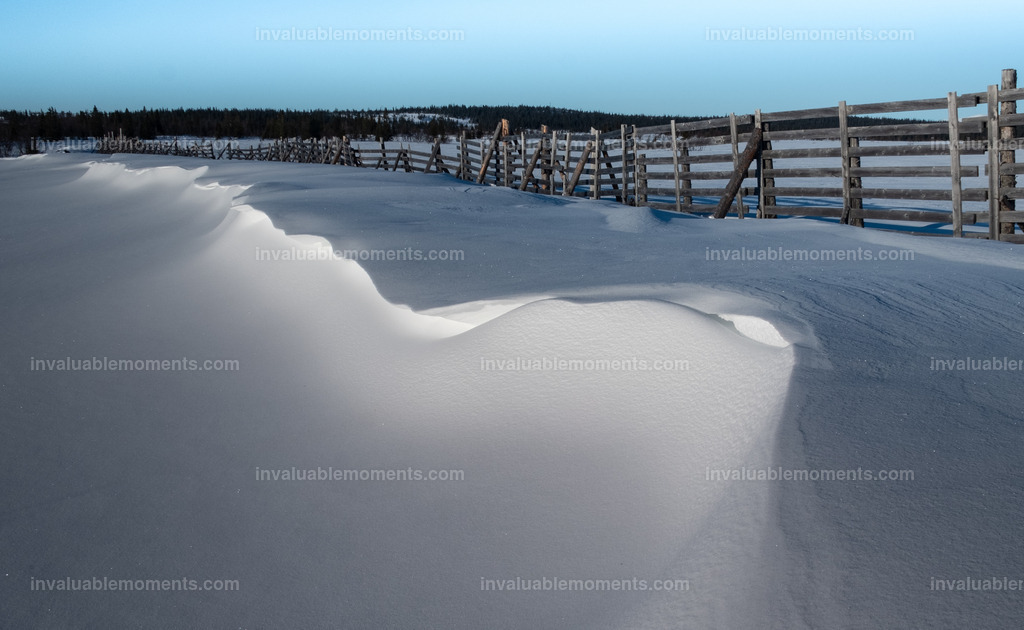 DSCF2561 | invaluablemoments.com - Realisiert mit Pictrs.com