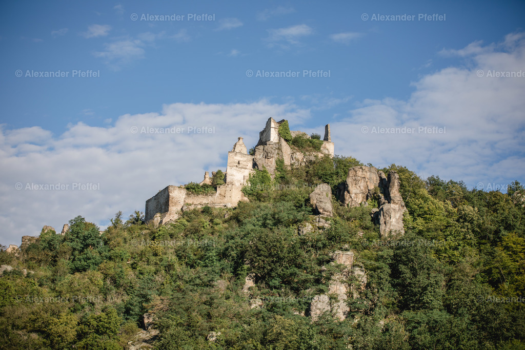 wachau_c_alexander_pfeffel-6684 | alexander-pfeffel - Realisiert mit Pictrs.com