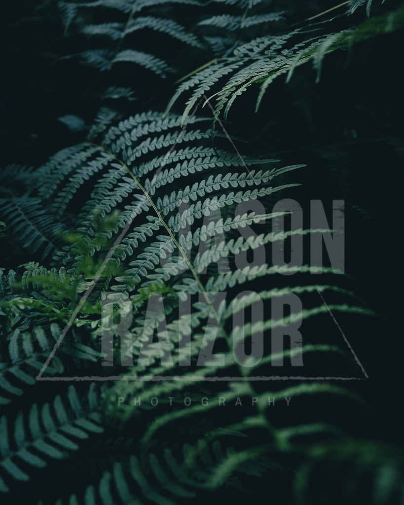 Studio Print-10 | jasonraizor - Realisiert mit Pictrs.com