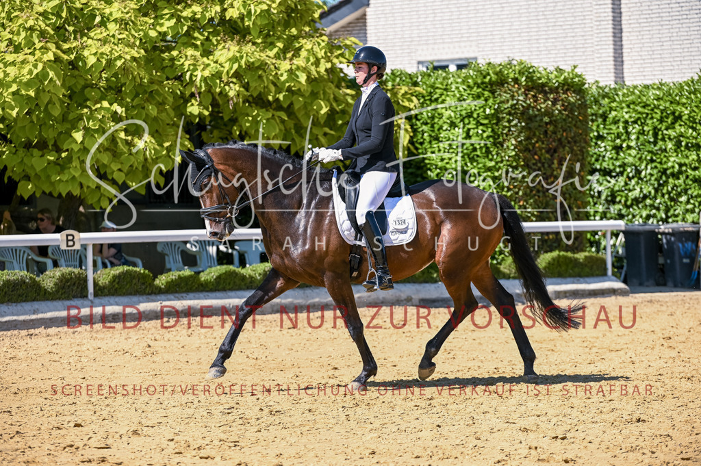 Schugtsche-Aluta25-50.Dressurpferdeprf.L-68 | Schugtsche Fotografie - Realisiert mit Pictrs.com