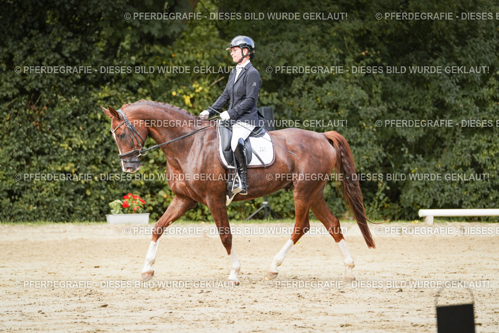 DSC02605 | Pferdegrafie