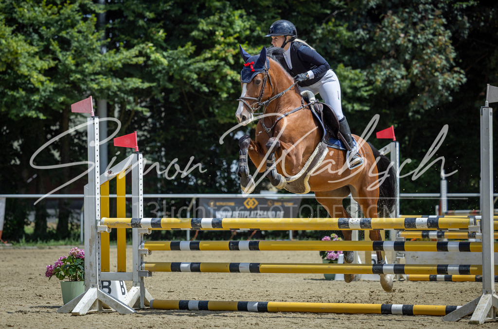 20260704-_3LI9393 | Tierfotografie Pferde, Hunde, Katzen, Haustiere.
Turnierfotografie Reitturniere, Reiten, Springreiten, Dressur in Hanau, dem Main-Kinzig-Kreis und dem Rhein-Main- Gebiet um Frankfurt