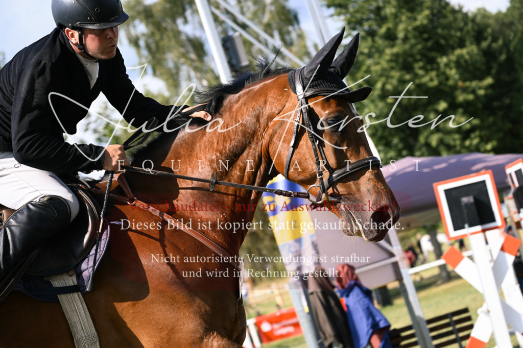 DSC_1096 | Pferde- und Turnierfotografie in Westsachsen. Pferdeportraits, Auftragszeichnungen und intuitive Kunst.
