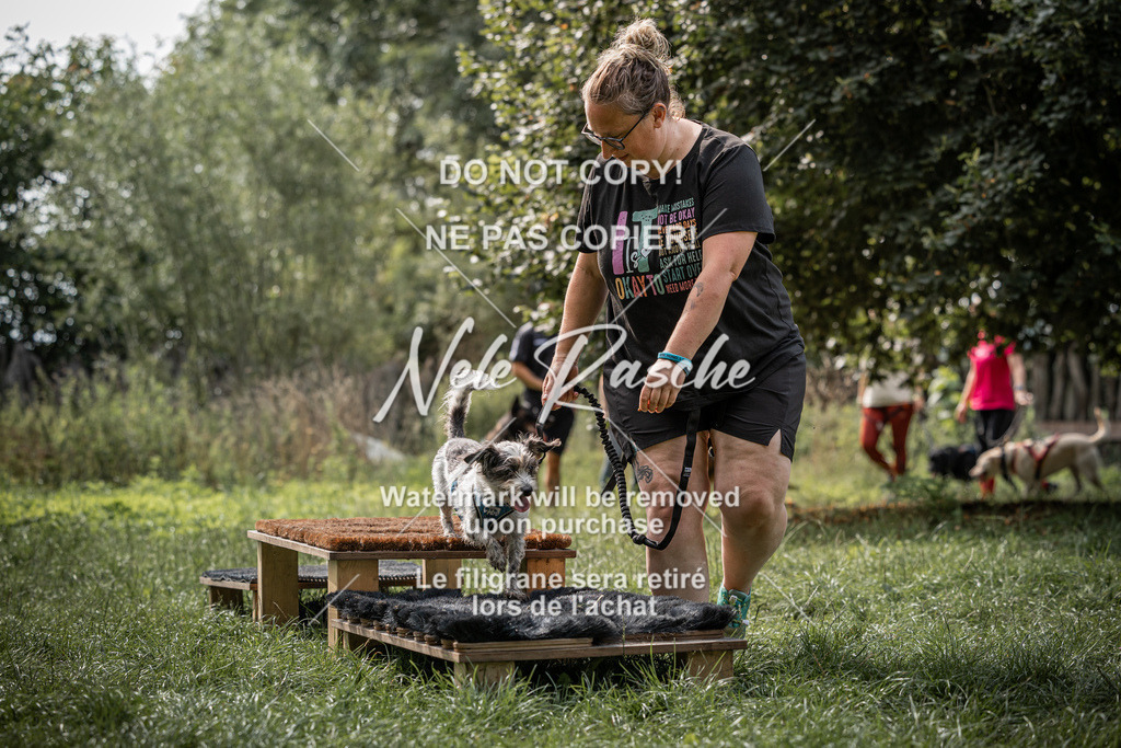 nelerasche_SoLauf_220 | nelerasche