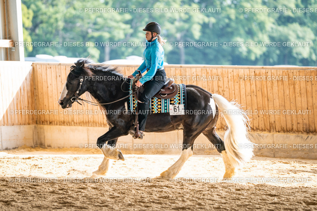 DSC08618 | Pferdegrafie