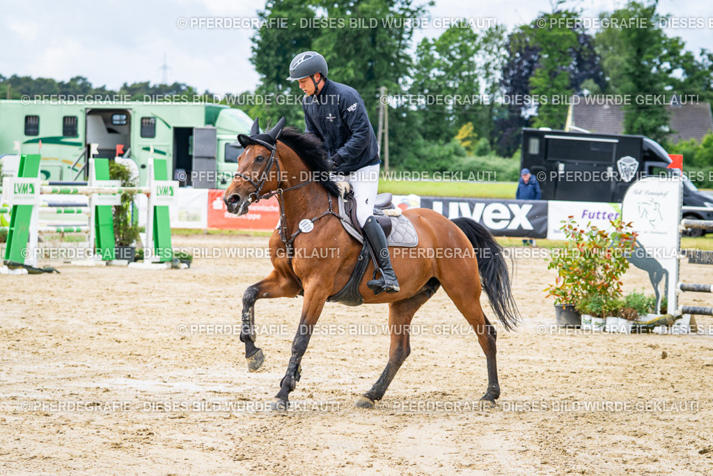 DSC03900 | Pferdegrafie