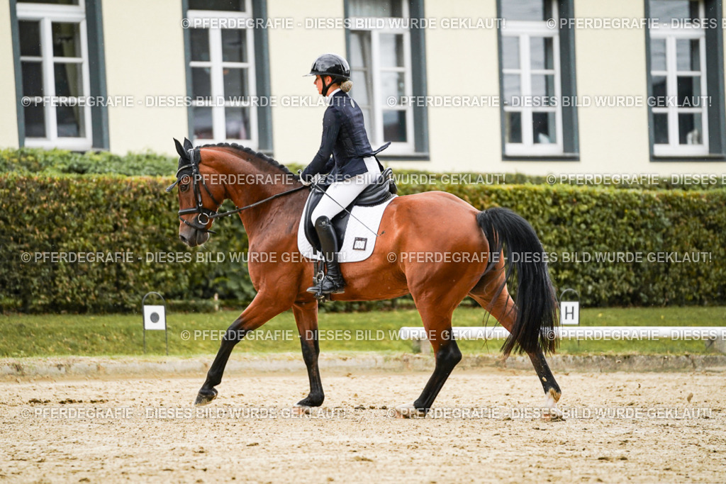 DSC07338 | Pferdegrafie