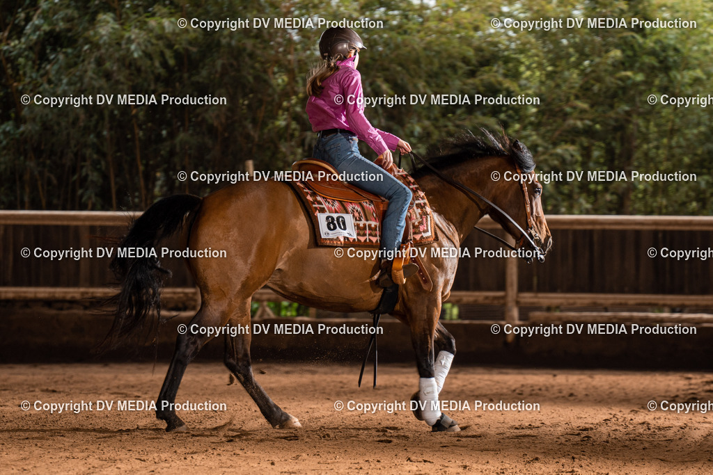 Erbach Tag 2-855 | dv-media-shop - Realisiert mit Pictrs.com