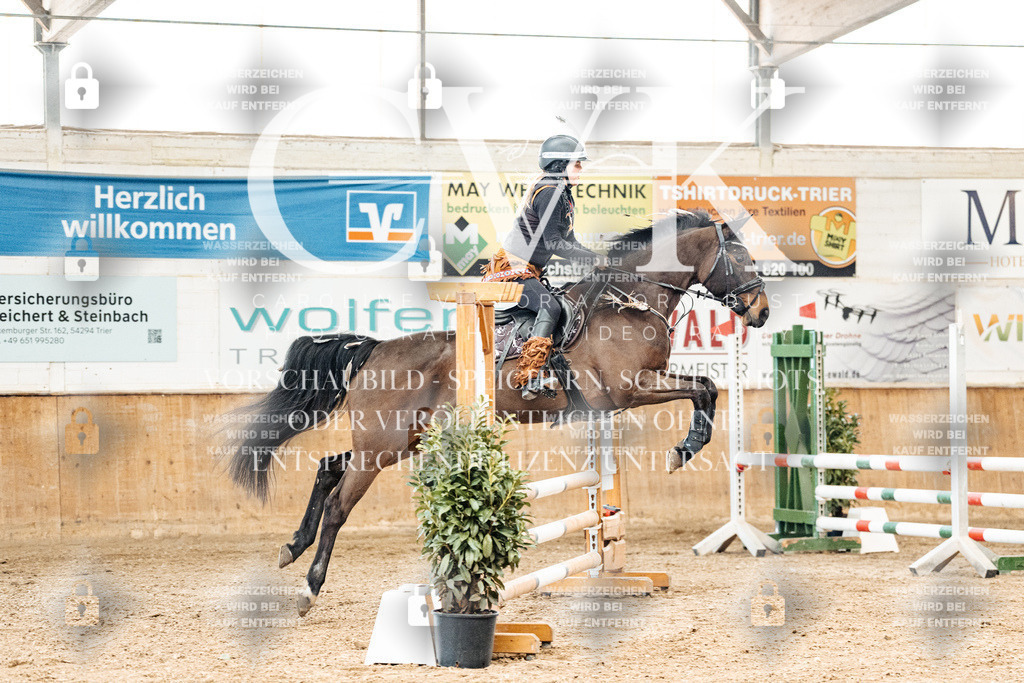 CK905528 | Turnierfotografie Pferdefotografie Trier Rheinland-Pfalz Pferdesport Reitsport Tierfotografie Sportfotografie Pferdevideo Pferdevideografie Equestrianvideography equestrianphotography  - Realized with Pictrs.com