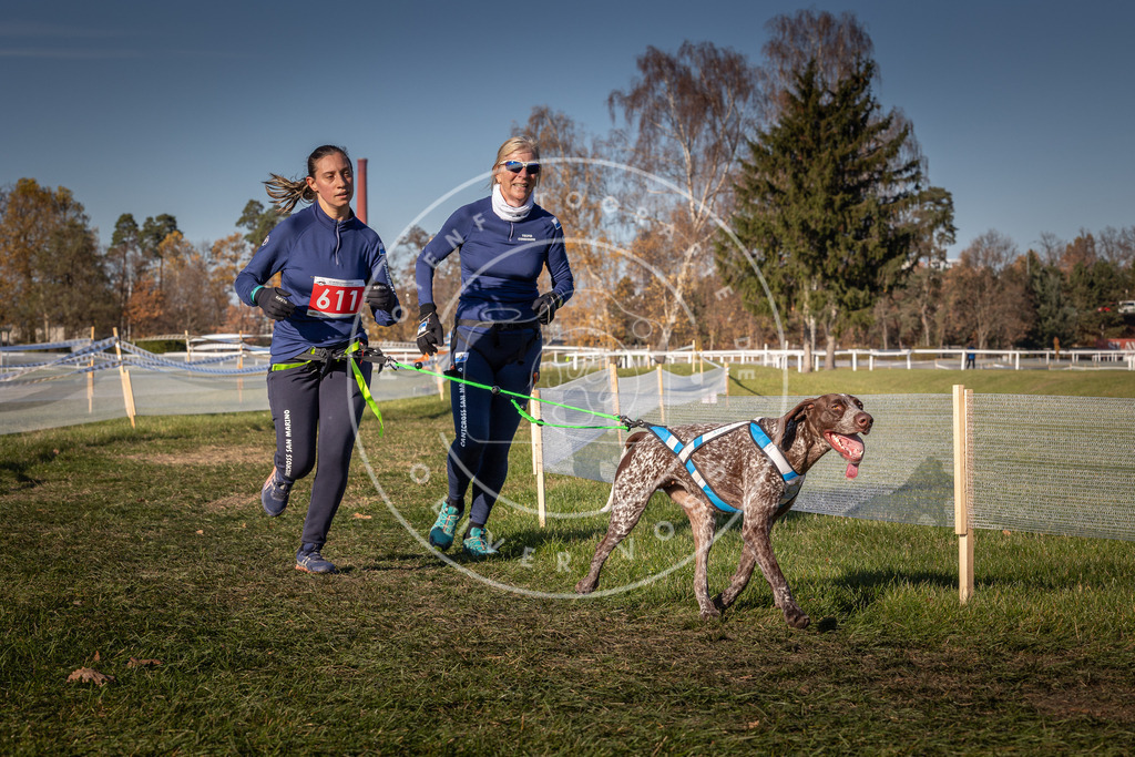 CaniXpix_0L8A8689 | Hundefotografie, Tierfotograf, Pfotenfotografie, Fotoshooting Hund, Hunde Portrait, Hundesport, Hundeportraits, Heideshooting, Hunde, Sportfotograf, Hundefotograf, Turnierhundsport, THS,  - Realisiert mit Pictrs.com