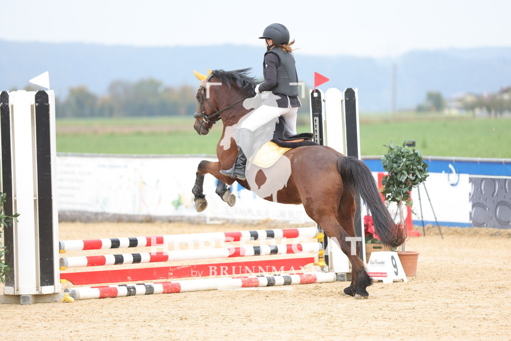 0P6A7623 | Willkommen bei Brunnmayr - Design & Fotografie – Ihrem Spezialisten für Reitturniere und Pferdeveranstaltungen in Oberösterreich, Salzburg und Bayern! Seit über 17 Jahren sind wir leidenschaftlich dabei.
