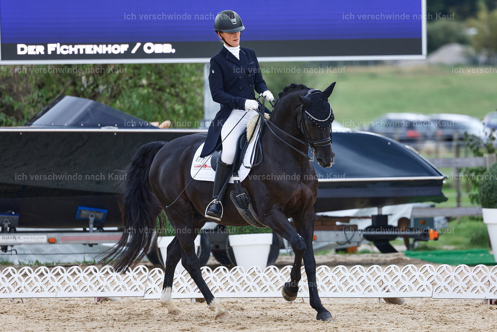 8_1-077-Klasse S_  -StoibPH-3814 | working equitationturnier fotograf videograf stoibphotography marixx film working equitation deutschland reitsport turnierfotografie eventfotografie equestrian events