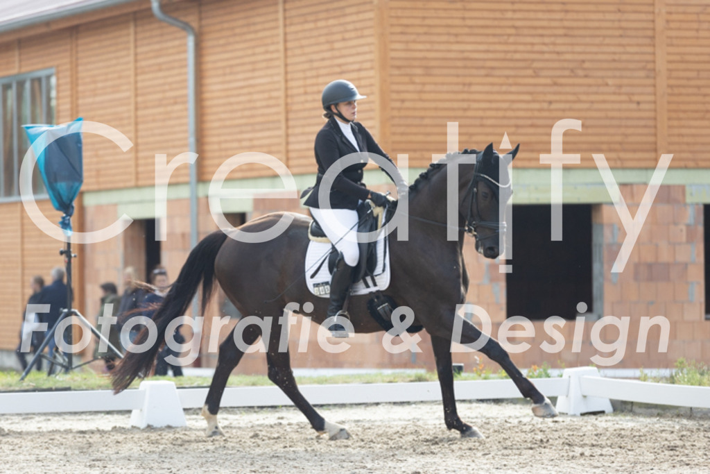 IMG_0286 | Creatify Fotografie