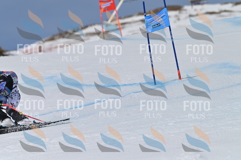 BGV_6265 | holidayphoto