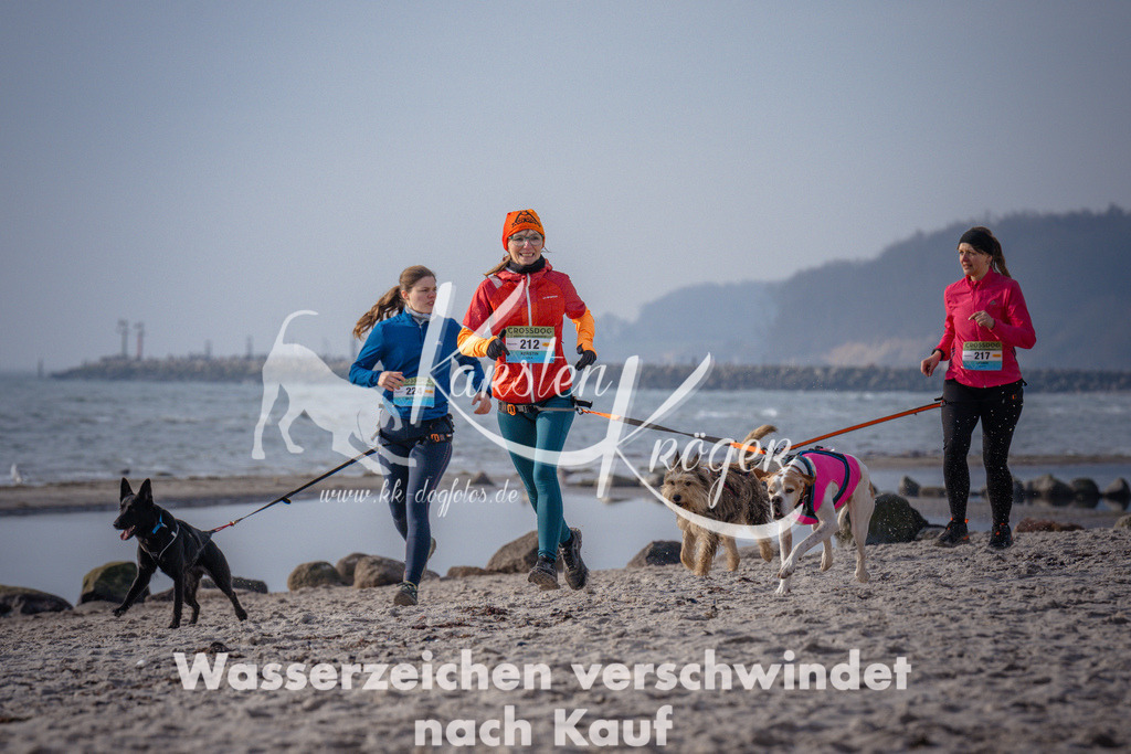 1010_ZZ94053 | kk-dogfotos