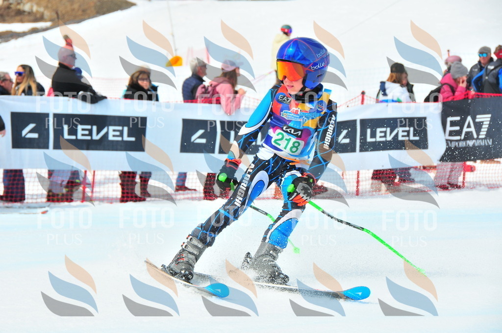 DSC_2017 | holidayphoto