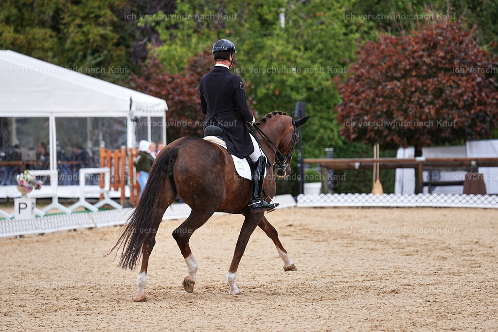 10-015-ST.GEORG SPECIAL -Marixx-3363 | working equitationturnier fotograf videograf stoibphotography marixx film working equitation deutschland reitsport turnierfotografie eventfotografie equestrian events