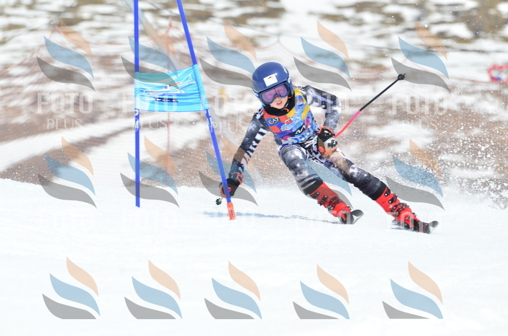 _ELE2705 | holidayphoto