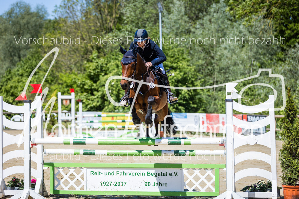 Donop24-Stil-L-001 | MomenTaufnahmen Pferdesportfotos