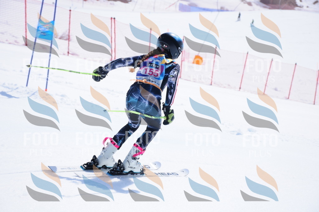 DSC_5323 | holidayphoto