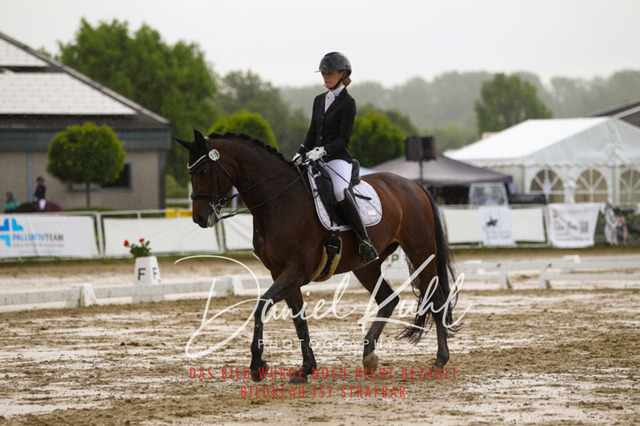 DKP40354 | Turniersportfotografie; Pferdefotografie; Dressurfotografie