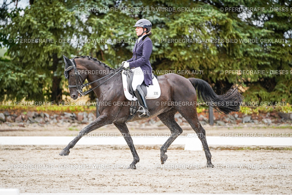 DSC09999 | Pferdegrafie