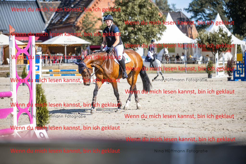 BK1A7175 | Turnierbilder Turnierfotos Nina Hüffmann Turnierfotografie Pferdefotografie Tierzeichnung Haustierzeichnung Pferdezeichnung Hundezeichnung Videograf  - Realisiert mit Pictrs.com