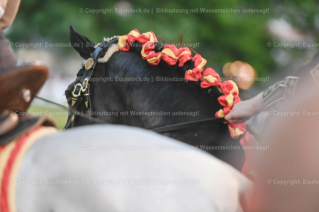 20230526_Pferdenacht_0793 | equistock