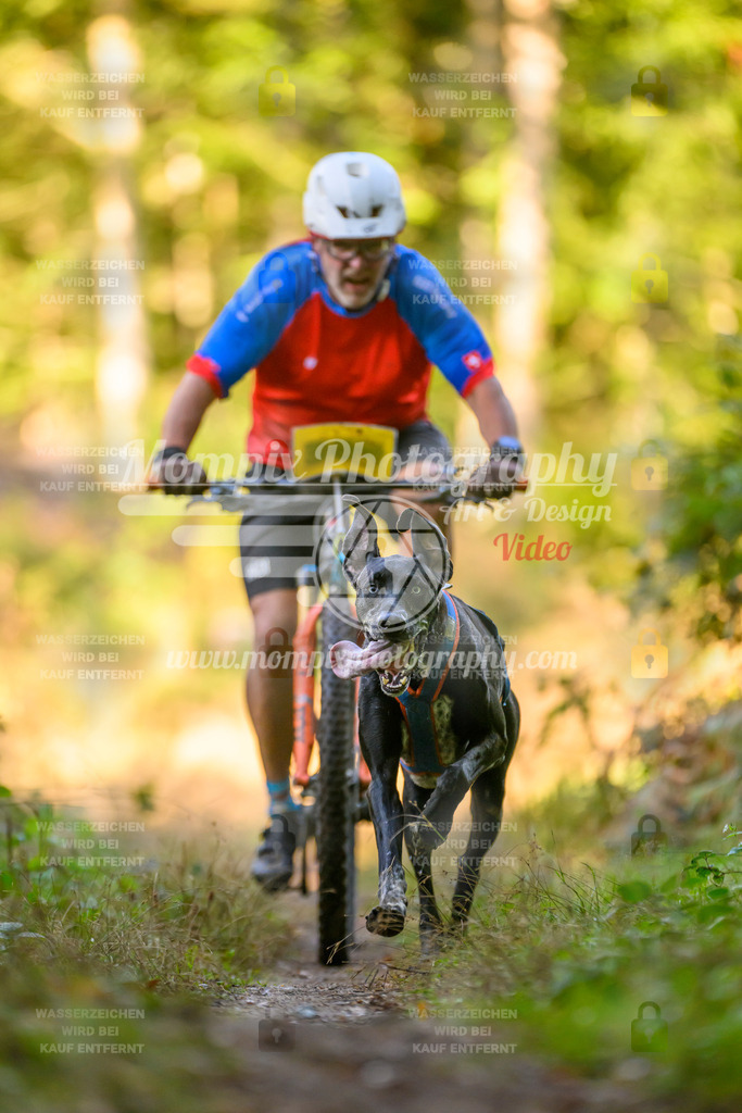 MompixPhotography_Yens2025_B3-173 | PayLife