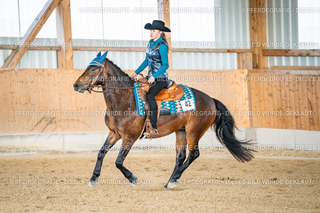 DSC08648 | Pferdegrafie