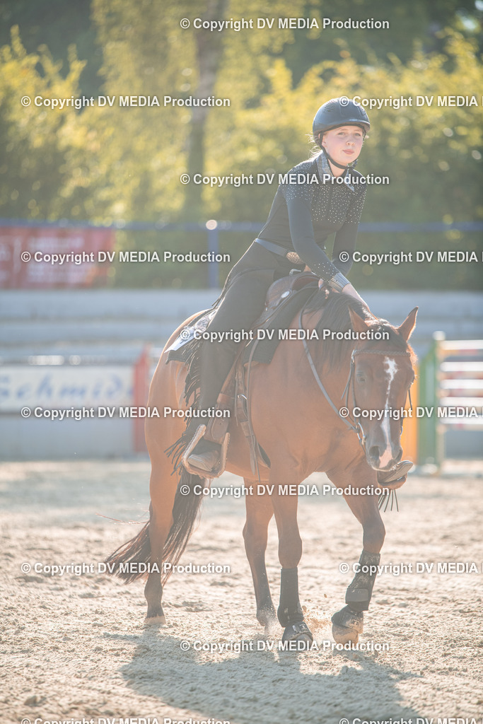 EWP_7128 | dv-media-shop - Realisiert mit Pictrs.com