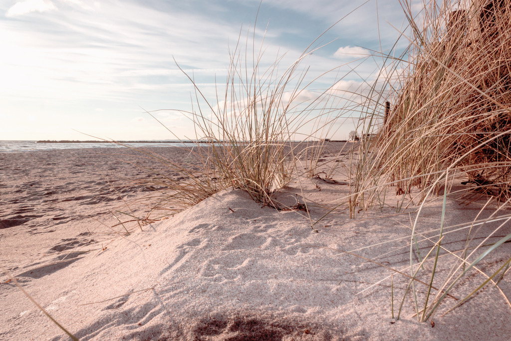 Wandbild: Strandgras am Sandstrand | Dieses Wandbild im Querformat zeigt einen schönen Sandstrand am Morgen. Im Vordergrund steht Strandgras direkt an einem Sandfang. Das Wandbild bringt einen schönen Sandton ein, der eine wohnliche Wirkung hat. Sie möchten Ihre Wände dezent aber stilvoll und elegant dekorieren? Dann holen Sie sich dieses maritime Wandbild. Es ist auf Leinwand, Aluminium-Platte, Acrylglas oder als Holzdruck erhältlich. Die Wandbilder werden individuell für Sie in vielen Abmessungen produziert. Daher passen die Ostseekult Wandbilder immer perfekt an Ihre Wände. - Realisiert mit Pictrs.com