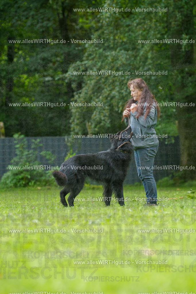 @allesWIRTHgut_Tierfotografie - www.allesWIRTHgut.de - 7R501662 | Professionelle Tierfotografie in Mönchengladbach von Daniel Wirth (allesWIRTHgut). Liebevolle & natürliche Bilder von Hunden & Katzen für unvergessliche Erinnerungen.