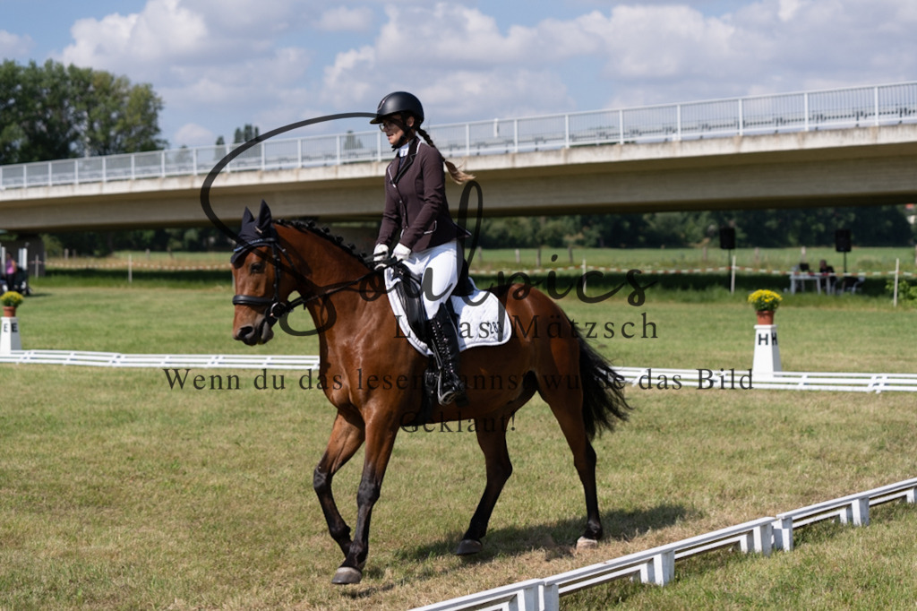 A7V09715 | Pferdefotograf