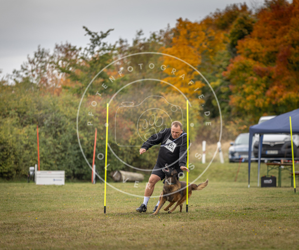 Pfotenfotografie_DV3A6439 | Hundefotografie, Tierfotograf, Pfotenfotografie, Fotoshooting Hund, Hunde Portrait, Hundesport, Hundeportraits, Heideshooting, Hunde, Sportfotograf, Hundefotograf, Turnierhundsport, THS,  - Realisiert mit Pictrs.com