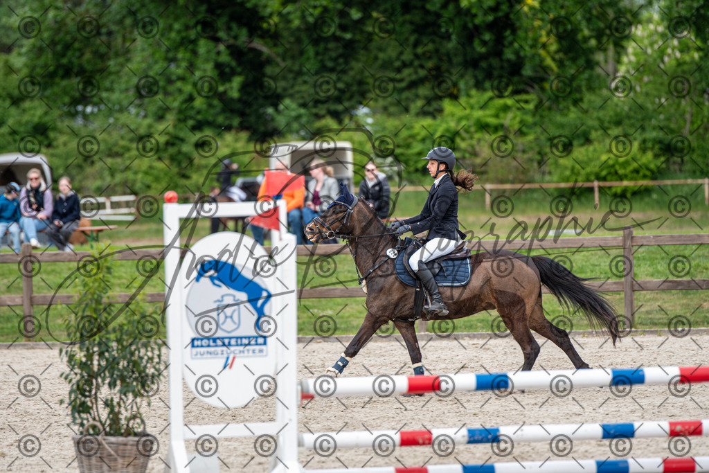 KPT_6252 | andre_photographic