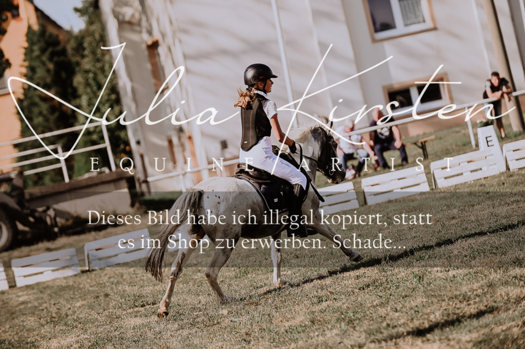 DSC_9433 | Pferde- und Turnierfotografie in Westsachsen. Pferdeportraits, Auftragszeichnungen und intuitive Kunst.