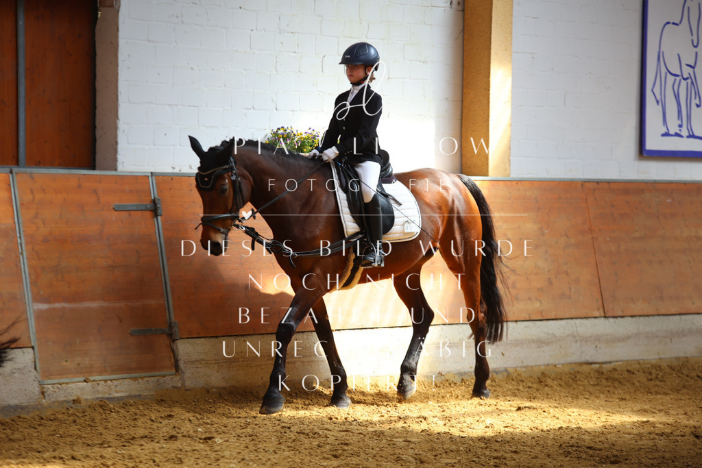 IMGT0853 | pl-fotografie