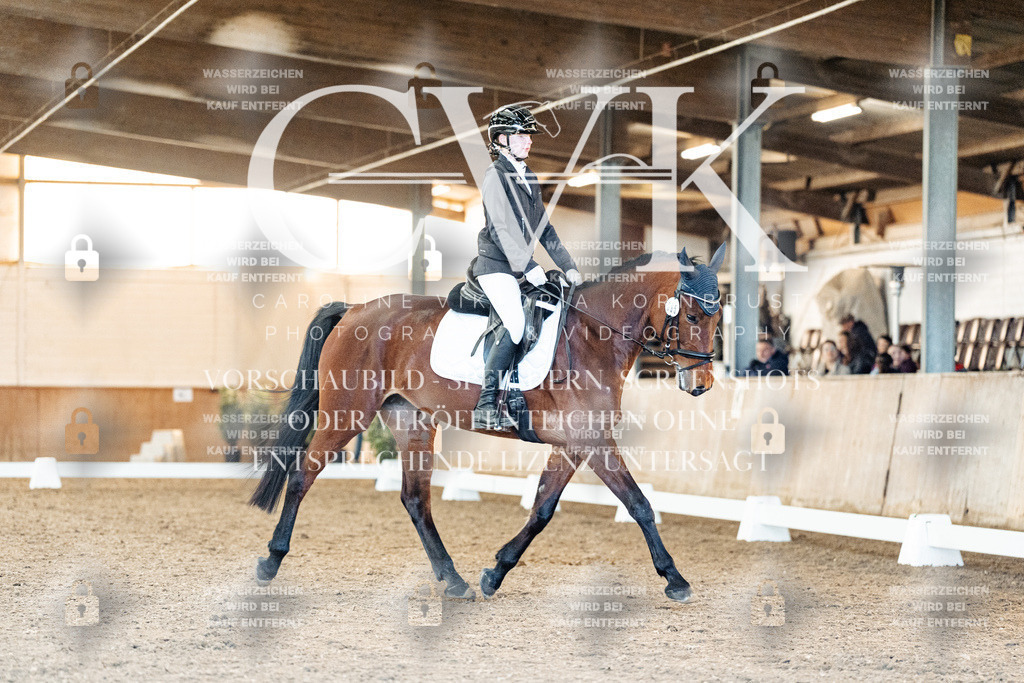 CK907620 | Turnierfotografie Pferdefotografie Trier Rheinland-Pfalz Pferdesport Reitsport Tierfotografie Sportfotografie Pferdevideo Pferdevideografie Equestrianvideography equestrianphotography  - Realized with Pictrs.com