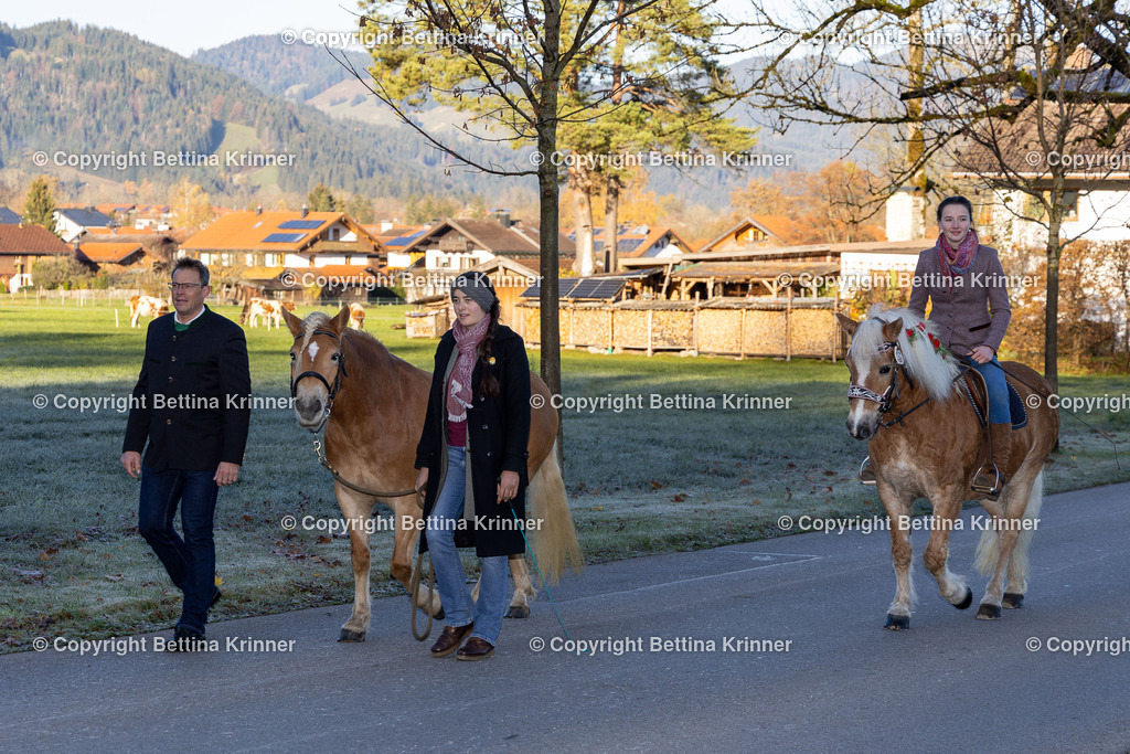 LL24-115 | foto-bettina-krinner - Realisiert mit Pictrs.com