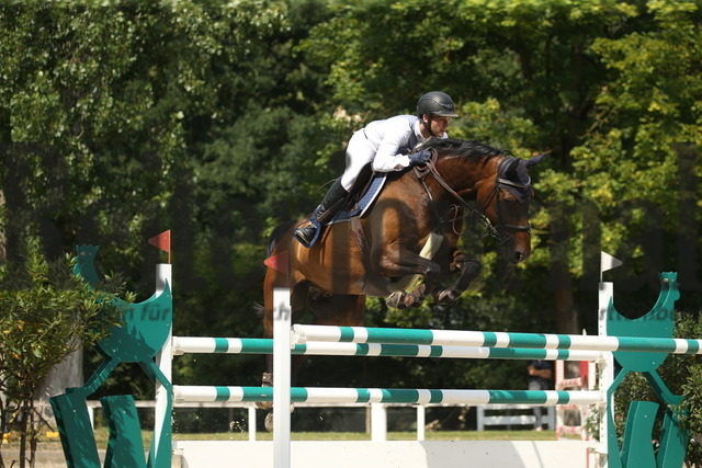 Waiblingen_2022_Springen_Kl.S_Marvin Frey_Con Argentus (2) | Alle Fotos der Reiterjournal Fotografin Doris Matthaes im Reiterjournal Online-Fotoshop. - Realisiert mit Pictrs.com