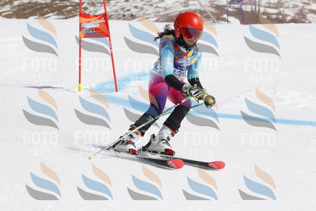 _U3G0966 | holidayphoto