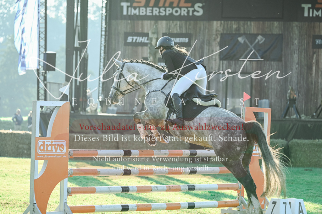 DSC_4159 | Pferde- und Turnierfotografie in Westsachsen. Pferdeportraits, Auftragszeichnungen und intuitive Kunst.