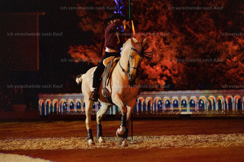 FHClassics-178 | working equitationturnier fotograf videograf stoibphotography marixx film working equitation deutschland reitsport turnierfotografie eventfotografie equestrian events