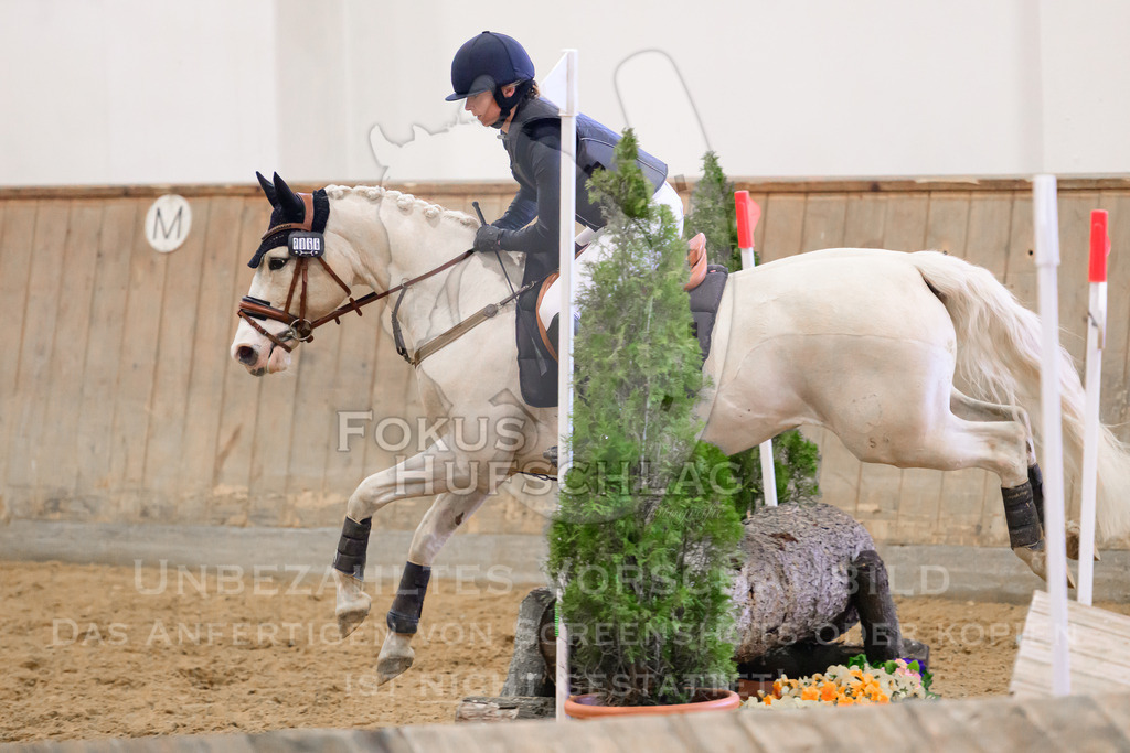 29032026-Schwaiganger-Prfg02-2-0269 | Fokus Hufschlag Fotografie - Realisiert mit Pictrs.com