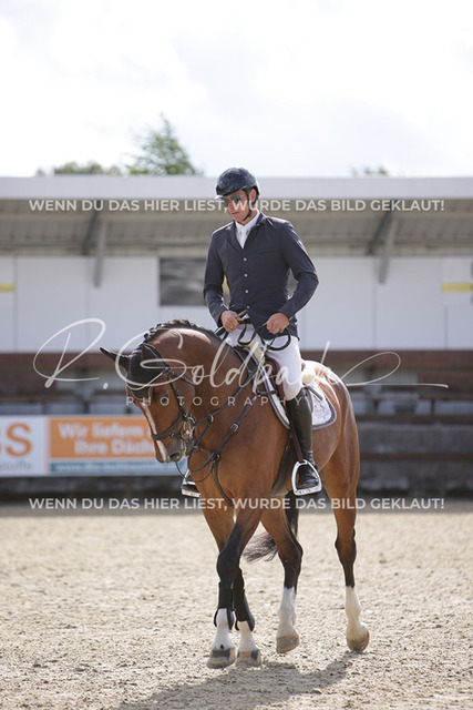 1J2A3095Andreas Erni_ Caloubet 6_ Kn092_ Havekost | Foto- und Videografie für alles rund ums Pferd. Hochwertige Bilder und Videos vom Spring- und Dressurreiten, Voltigieren & mehr. Jetzt aktuelle Veranstaltungen und Preise im Shop ansehen. - Realisiert mit Pictrs.com