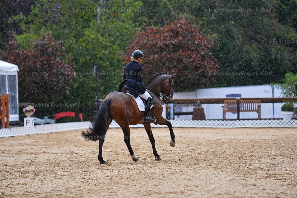8_1-001-Klasse S_  -Marixx-4332 | working equitationturnier fotograf videograf stoibphotography marixx film working equitation deutschland reitsport turnierfotografie eventfotografie equestrian events