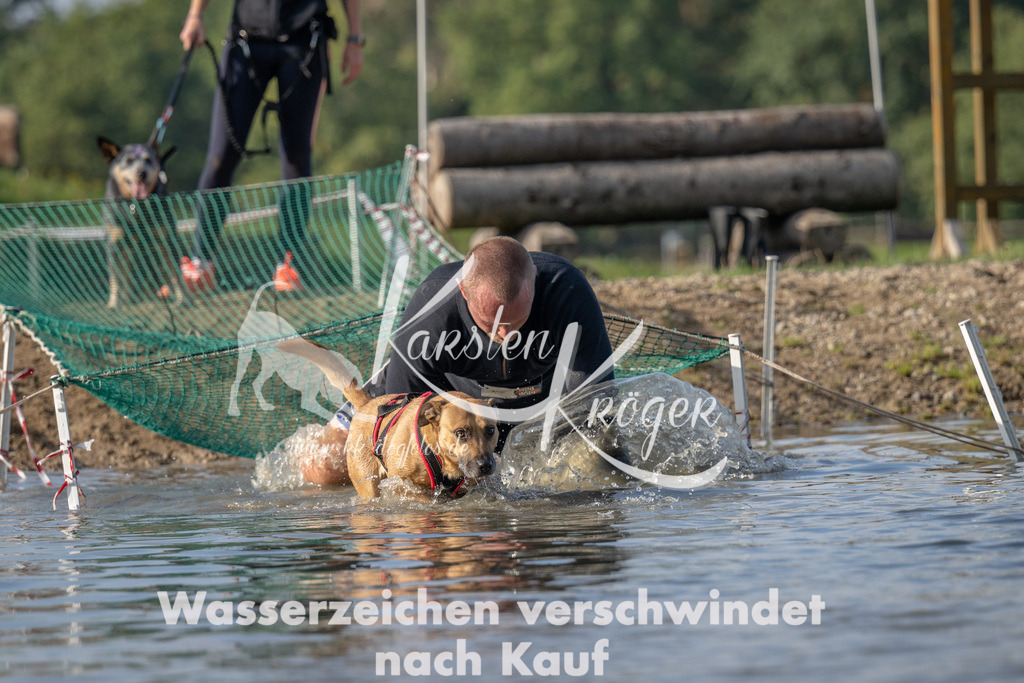 1109_ZZ91726 | kk-dogfotos